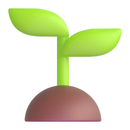 Seedling